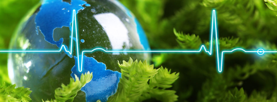 Social Responsibility